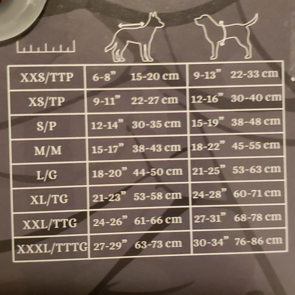 X-Large Dog Costume - Dragon